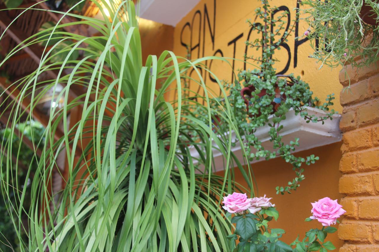 Posada San Cristobal Zipolite Exterior photo